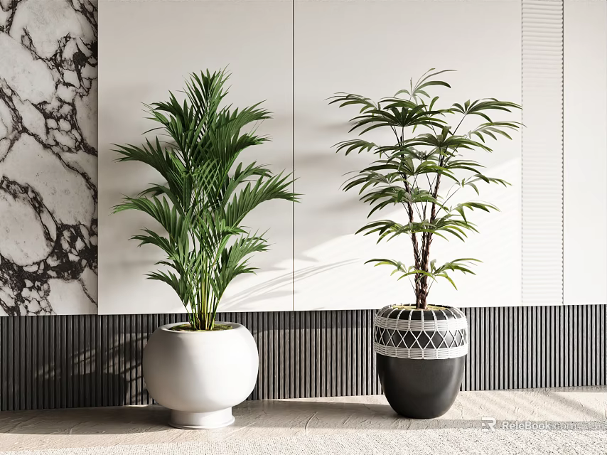 Potted Plants In White And Black Geometric Patterned Pots For Modern Interior Decor 3d model