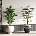 Potted Plants In White And Black Geometric Patterned Pots For Modern Interior Decor 3d model