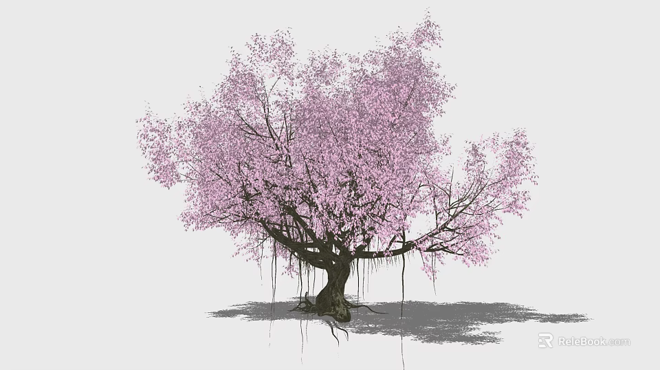 Vibrant Blooming Arbor Featuring Pink Blossoms Lush Branches And Exposed Roots 3d model 
