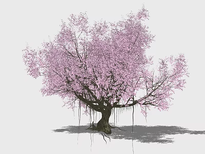 Vibrant Blooming Arbor Featuring Pink Blossoms Lush Branches And Exposed Roots 3d model