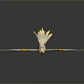Flying Creature With Golden Wings White Body And Golden Horns Standing On Reflective Surface