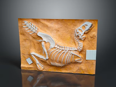Detailed Dinosaur Fossil Skeleton Preserved In Rock Matrix With Label On 3d model