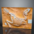 Detailed Dinosaur Fossil Skeleton Preserved In Rock Matrix With Label On