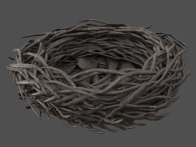 Flight Animal Nest Home Structure with Twigs and Natural Branches 3d model