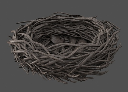 Bird's Nest Bird's Nest Duck's Nest Bird's Nest Duck's Nest Bird's Nest Duck's Nest Bird's Nest Duck's Nest Bird's Nest Duck's Nest Bird 3d model