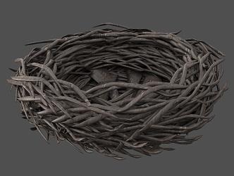 Bird's Nest Bird's Nest Duck's Nest Bird's Nest Duck's Nest Bird's Nest Duck's Nest Bird's Nest Duck's Nest Bird's Nest Duck's Nest Bird 3d model