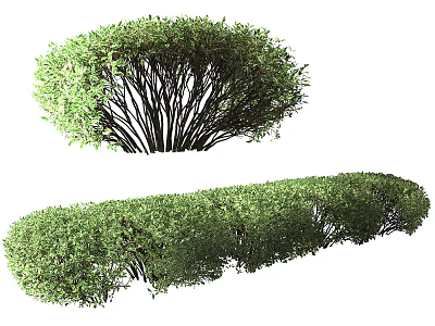 Green Trimmed Shrubs For Garden Landscape With Round And Curved Shapes 3d model
