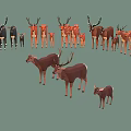 Group of Deer with Various Sizes Antlers and Fawns in Natural Scene