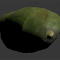 Fresh Green Cucumber With Textured Skin On Black Background Showing Reflection