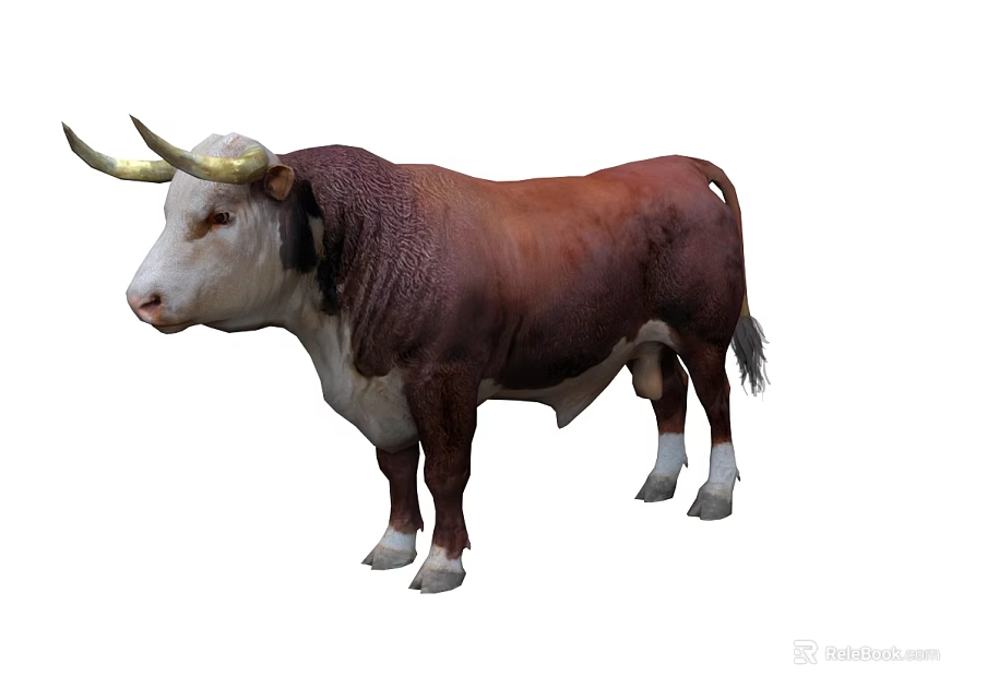 Brown And White Bull With Long Horns In Standing Pose 3d model 