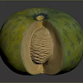 Fresh Cut Open Green Spotted Melon With Orange Flesh And Netted Texture