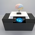 Commercial Equipment With Black Cabinet White Pedestal Brain Model And Touchscreen