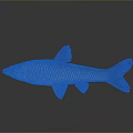 Silver Freshwater Fish with Shiny Scales Dark Fins and Streamlined Body on Neutral Gray Background