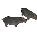 Two Gray Hippo 3D Models With Open Mouths On Light Gray Background 3d model