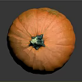 Fresh Ripe Orange Pumpkin with Green Stem and Smooth Texture on Black Background