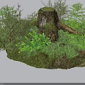 Stone And Wood Natural Scene With Moss Covered Tree Stump Green Plants And Purple Flowers