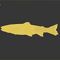 Detailed Aquatic Trout Fish With Spotted Silver Orange Yellow Scales And Reflection On Gray Background