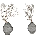 Natural Bonsai Plants With Bare Branches In Textured Clay Pots