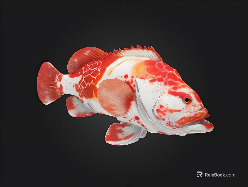 Vibrant Red and White Patterned Tropical Marine Fish in Coral Reef Habitat 3d model 