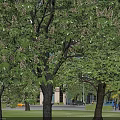 Multi Storey Industrial Factory Building With Modern Glass Windows Green Lawn And Surrounding Trees