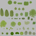 Various Garden Shrubs In Different Shapes Sizes And Types For Landscaping