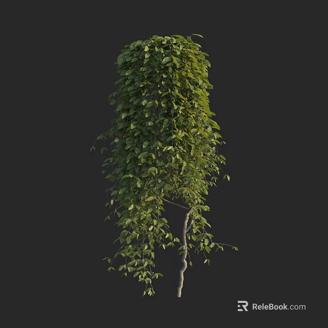 Tall Green Arbor Featuring Lush Hanging Branches And Dense Foliage 3d model
