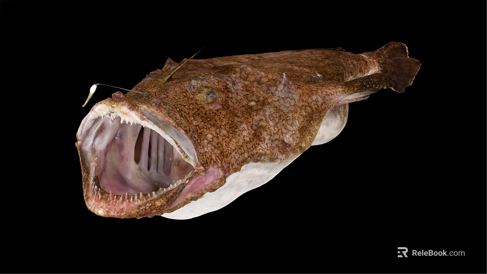 Anglerfish With Large Mouth Sharp Teeth And Spotted Body On Black Background 3d model 