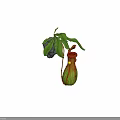 3D Model of Pitcher Plant With Green Leaves Red Striped Pitcher And Yellow Light