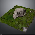 Natural Outdoor Moss Covered Ground With Large Stone Small Plants And Feather