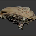 Artisan Handcrafted Shell Like Sculpture Carving With White Brown Speckled Texture Design