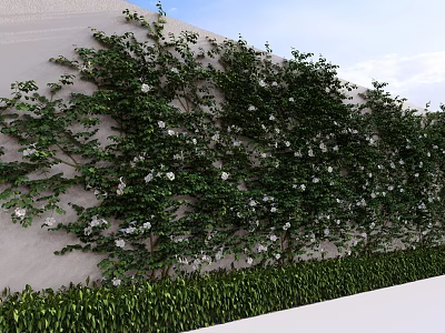 Lush Green Plant Wall with White Flowers and Foliage on Exterior Wall Under Blue Sky 3d model