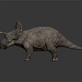 Realistic 3D Triceratops Model With Horns Frill And Detailed Skin Texture On Gray Background