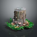 Rustic Tree Stump Surrounded by Lush Green Moss and Wild Mushrooms