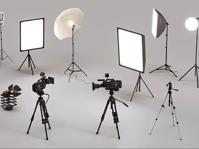 Professional Studio Lighting Kit With Softboxes Umbrella Lights Ring Light And Tripods 3d model