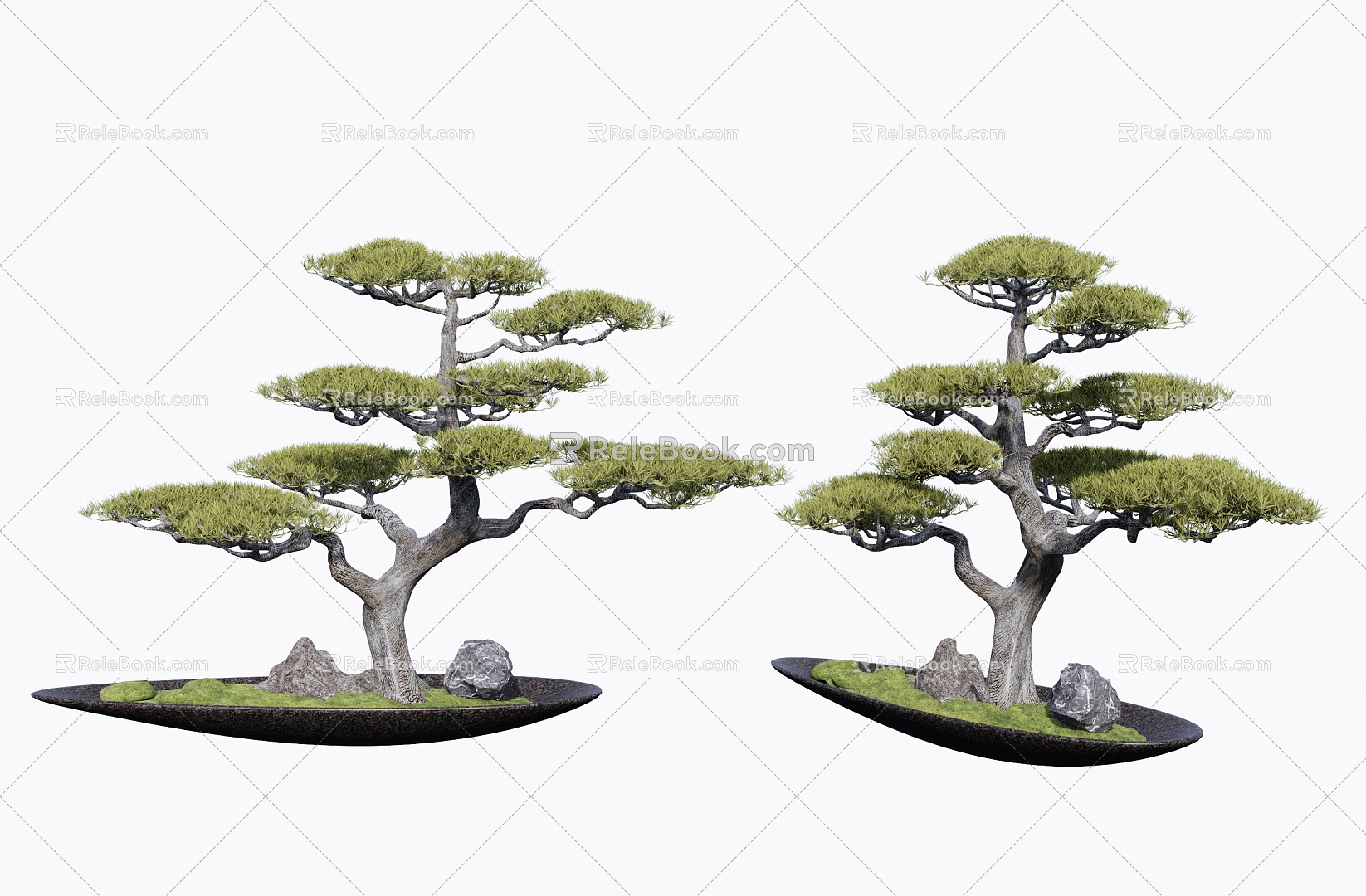 New Chinese Pine Pot 3d model