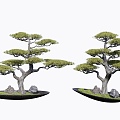 New Chinese Pine Pot 3d model