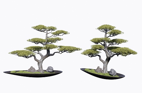 New Chinese Pine Pot 3d model