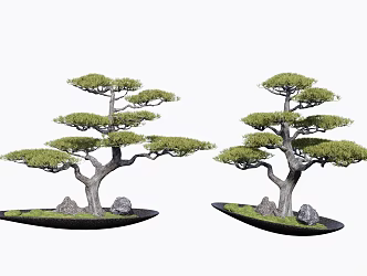 New Chinese Pine Pot 3d model