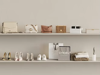 Bags Shoes Hats Bag Satchel Box Shoes 3d model
