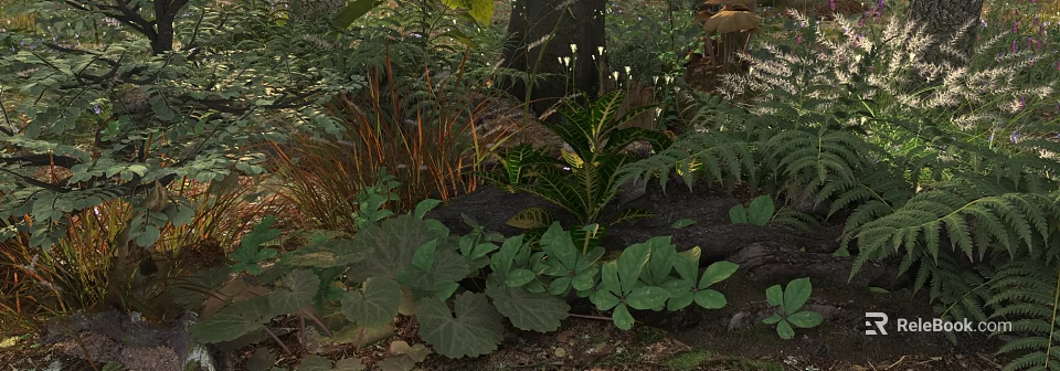 Lush Green Natural Ground Cover Vegetation On Forest Floor With Ferns And Broad Leaf Plants 3d model 