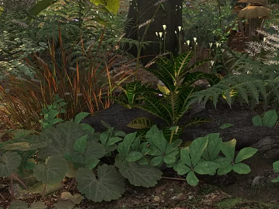 Lush Green Natural Ground Cover Vegetation On Forest Floor With Ferns And Broad Leaf Plants 3d model