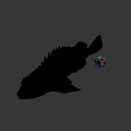 Brown Fish With Large Eyes And Colorful Rubik's Cube On Gray Background