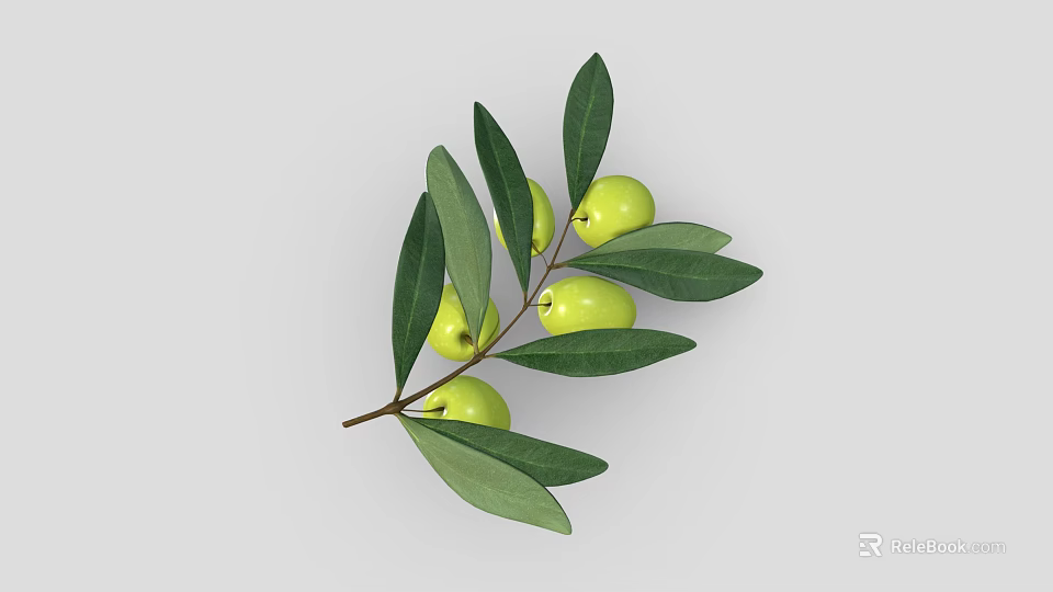 Fresh Olive Branch With Vibrant Green Olives And Lush Green Leaves 3d model 
