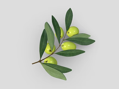 Fresh Olive Branch With Vibrant Green Olives And Lush Green Leaves 3d model