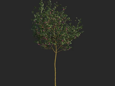 Single Arbor Tree with Green Leaves Pink Flowers and Yellow Trunk on Dark Background 3d model