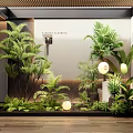 Indoor Plant Combination With Various Green Plants Ferns Palms And Decorative Lights