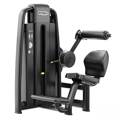 Sports Equipment Strength Training Machine With Black Frame Padded Seat And Adjustable Settings 3d model