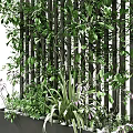 Climbing Vines Growing on Black Metal Trellis with Lush Green Foliage in Modern Planter Box