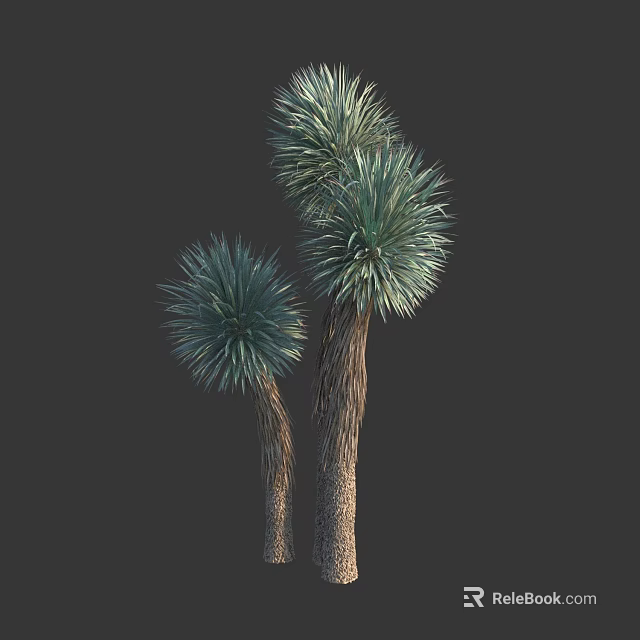 Two Arborescent Trees With Textured Trunks And Green Spiky Leaves On Dark Background 3d model 