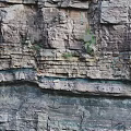 Outdoor Garden Landscape Featuring Natural Stratified Rock Layers And Small Green Plants